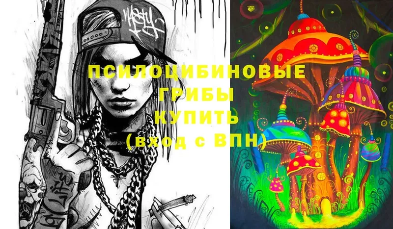 Псилоцибиновые грибы Psilocybe  Зеленогорск 